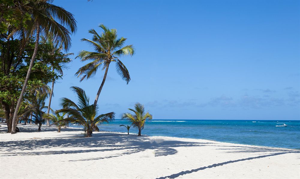 Car rental service Tiwi