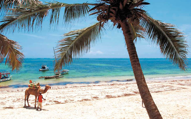 Car rental service Mombasa